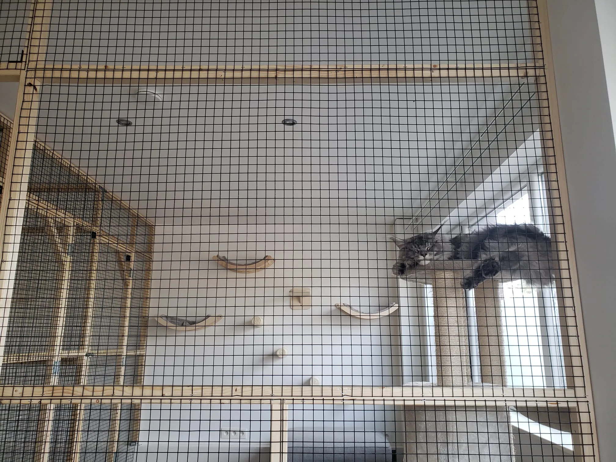 Espace de jeu (6m²)